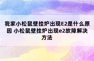 我家小松鼠壁挂炉出现E2是什么原因 小松鼠壁挂炉出现e2故障解决方法